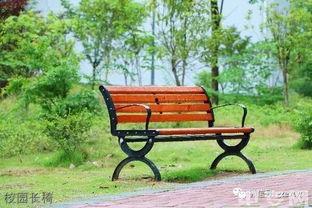 学校的长椅吃瓜,一场别开生面的“吃瓜”盛宴