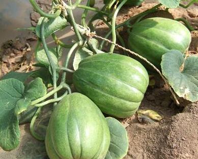 绝佳吃瓜位,一窥娱乐圈幕后风云