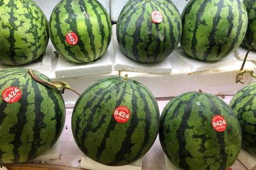 吃瓜个人,吃瓜群众视角下的娱乐圈风云录