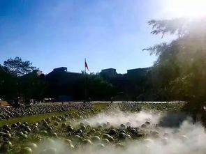 吃瓜群众黄果树,揭秘神秘瓜园背后的故事