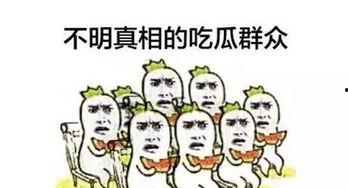 吃瓜的默契,揭秘吃瓜群众的默契瞬间