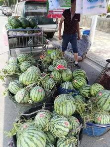 甘肃天水吃瓜事件,一场网络热议背后的真相与反思