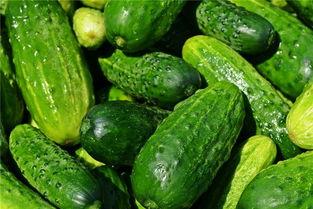 梦见侄子吃瓜,侄子吃瓜背后的寓意解析