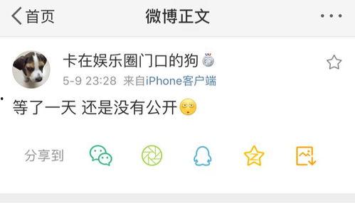 78吃瓜爆料,揭秘娱乐圈幕后真相