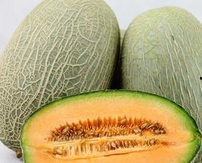 吃哈密瓜嘛,尽享夏日甜蜜滋味