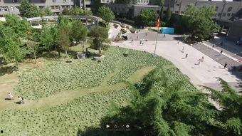 萍乡学院吃瓜事件