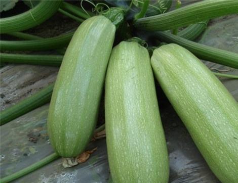 西片吃瓜图片,揭秘娱乐圈幕后风云